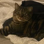 Misha - @mishasmith2019 - Instagram