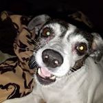 Misha Thompson - @thompson0301 - Instagram