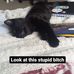 Misha Thompson - Facebook