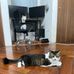Miso Lee - Facebook