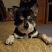 Missi Jones - Facebook