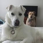 Missi Jones - @mkj2869 - Instagram