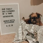 Missy & Mookie Alexander - @thealxndrgriffs - Instagram
