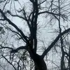missybender895 - @missybender895 - TikTok