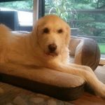 missy  gentry - @gentrification123 - Instagram