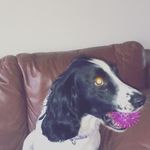 Missy haley - @make_up_beautyxx - Instagram