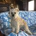 Missy Hicks - Facebook