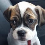 Missy Hicks - @missyhicks4 - Instagram