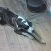 Missy Higgins - Facebook