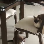 Missy, Kyle, Frida - @missy_kyle_and_frida - Instagram
