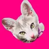 missyleon8 - @missyleon8 - TikTok