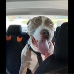 Missy McBride - @reallyev2 - Instagram