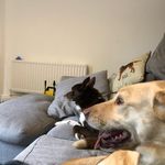 Missy & Moss - @missyandmoss - Instagram