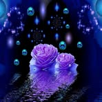 Missy Rice - Facebook