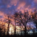 Missy Rice - @msr_loveslife - Instagram