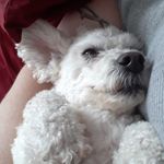 Missy Rice - @kata65789 - Instagram