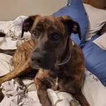 Missy Robbins - @mjr4.777 - Instagram