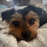 Missy Wade Satterfield - @msatt32 - Instagram