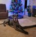 Missy Wallace - Facebook