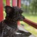 Missy Wallace - Facebook