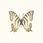Missy Wallace - @missywallaceart - Instagram