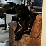 Missy Wiley Barton - @missywileybarton - Instagram