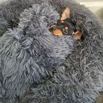 Mister J Moore - @xo.misterjtheminpin.ox - Instagram