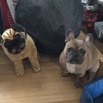 mister moore - @what.will.heal.thy.life - Instagram