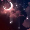 Misty Bailey - @.mistybailey91 - TikTok