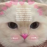 Misti Boyle - @boyle679 - Instagram
