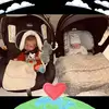 Misty Boyle - @misty.boyle - TikTok