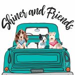 Misti Henry - @shinerandfriends - Instagram