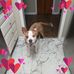 Misti Mack - Facebook