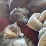 Misti Stewart - @shorty.1971 - Instagram