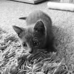 Misty😽 - @mistyback_up - Instagram