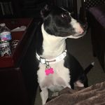 Misty Bartlett - @mistygirl9992 - Instagram