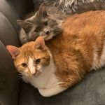 Misty & Bash - @the_misty_and_bash_show_ - Instagram