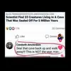 mistybaugh67 - @mistybaugh67 - TikTok