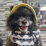 Misty bear & Ellie bat - @mistybear - Instagram
