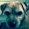 MISTY_BEAR - @misty_bear - TikTok