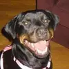 Misty Best - @misty.best0 - TikTok