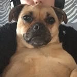 Misty Is The Best - @mistyisthebest1 - Instagram