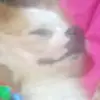 Misty - @misty.best.girl - TikTok