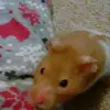 Misty - @misty_bestgirlever - TikTok