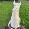 mistyisthebest58 - @mistyisthebest58 - TikTok