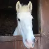 mistyisthebest - @mistyisthebest2 - TikTok