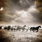 Misty Blaylock - Facebook