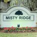 Misty Ridge Neighborhood - Brandon, FL - Facebook