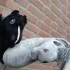 misty+britt🥥ayla+ruby - @hobby.horses.mistyxayla - TikTok