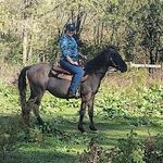 Misty Clemons Buchanan - @ytsim17 - Instagram